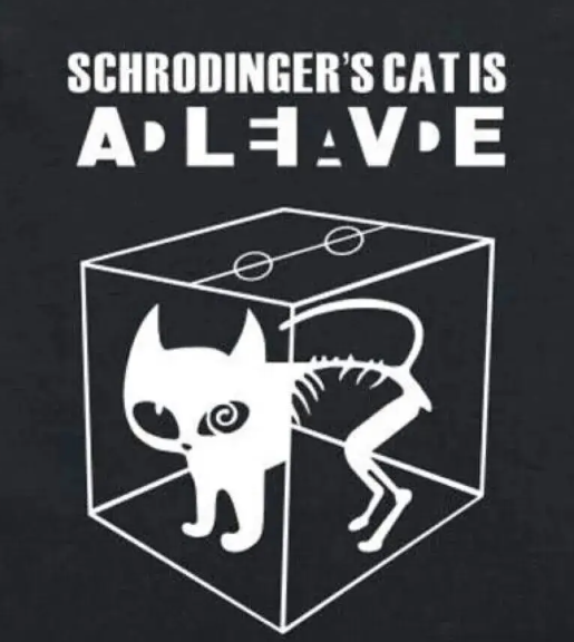薛定谔的猫：既死又活的量子叠加态