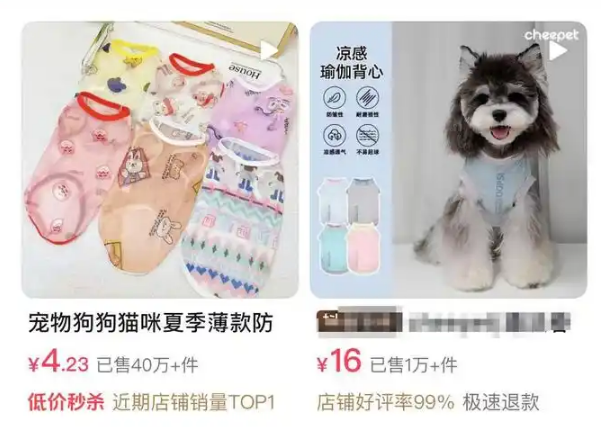 冰垫、防晒衣与剃毛争议：高温大考下，一场宠物经济与科学养宠的博弈