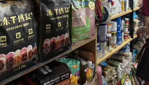 宠物赛道提速扩容，行业急需专业人才