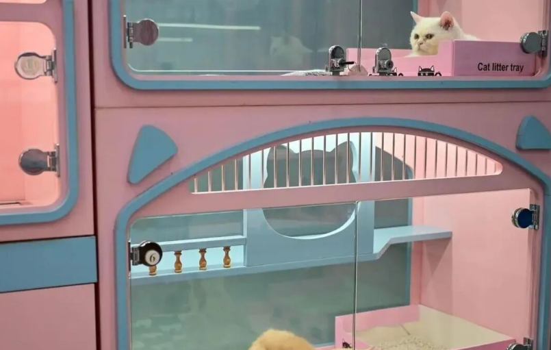 浙江杭州萧山国际机场打造华东首个宠物候机厅