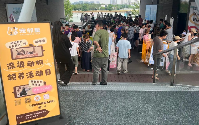 从遗弃到被爱！昨天闵行这里爆满，只为TA们找新家