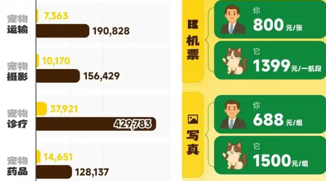 宠物写真上千元，比人贵一倍，谁在为情感“氪金”？