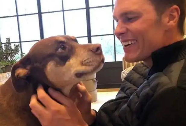 美运动员自曝饲养已故爱犬克隆体：由意图“复活恐狼”公司完成