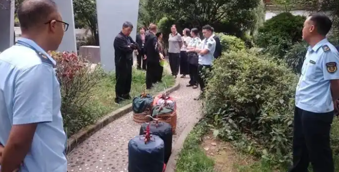 11只画眉鸟被放生 大方县严厉打击破坏野生动物资源违法行为