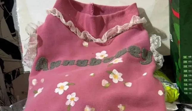 妹子用卫衣给杜宾犬改了件衣服，这个搭配……超绝啊