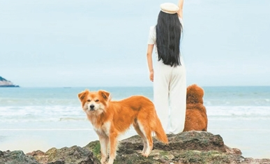 “它经济”催生新业态 上海游客抢订温州宠物旅行团