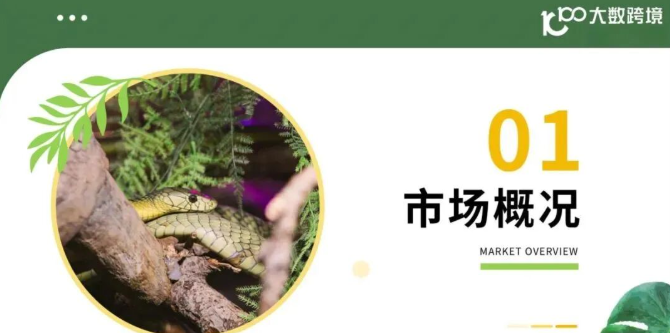 从消费人群到品牌，2025年小宠异宠用品市场浅析