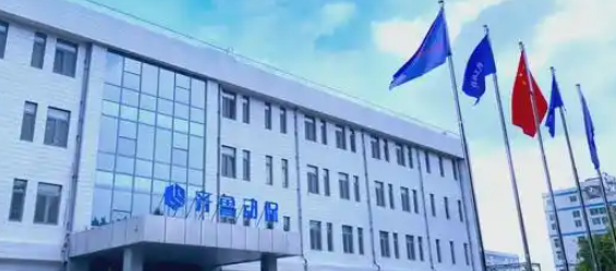 宠物行业革新与市场趋势：从国际化到消费升