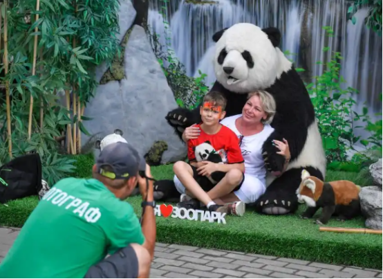 “丁丁”“如意”庆生 莫斯科动物园开启“熊猫周”