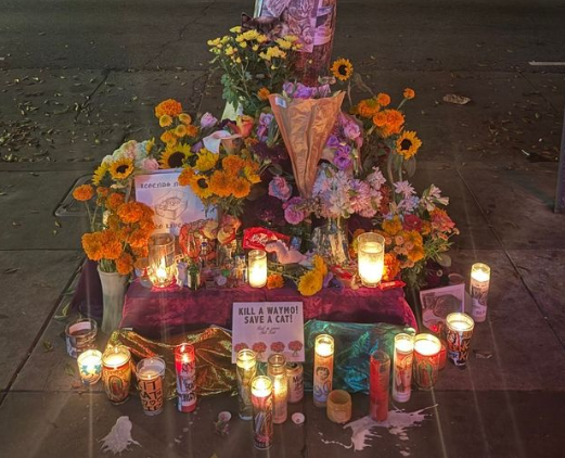 一只猫的死亡，让谷歌自动驾驶公司Waymo陷入公关危机