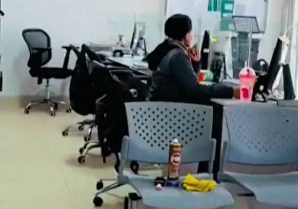 同时带着狗狗一起来上班，它努力想要看包外的世界！