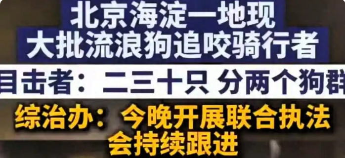 北京小区流浪狗围攻路人！官方连夜出手，业主终得安宁