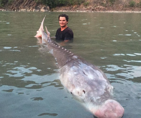大哥捕获粉色猪鼻怪鱼，岸上好友啧啧称奇：是罕物 