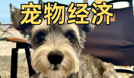 “它经济”热力攀升 宠物产业乘势而上