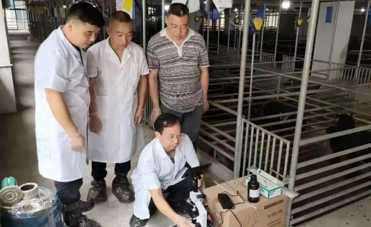 打造科技兴农示范样板 湘东黑山羊养殖技术“走出国门”