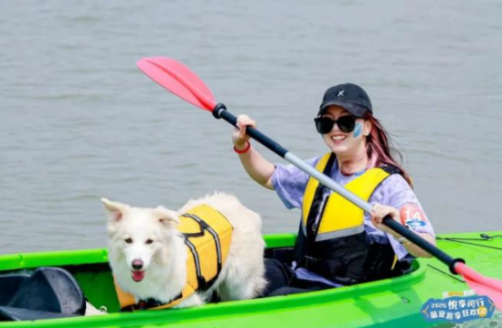 爱宠新风尚，萌动Ta经济