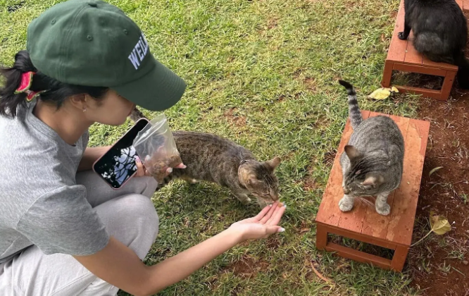 瘦的肋骨清晰可见的Lisa蹲地喂流浪猫！