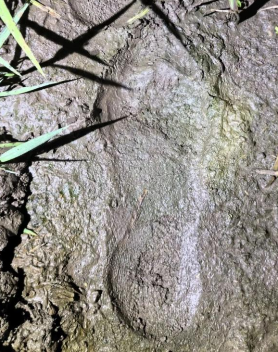 警犬“顶针”寻回九旬走失老人警民联动上演暖心救援