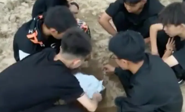 小狗遭遇车祸死去，一群孩子将它转移路边挖坑埋了