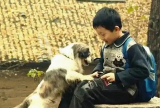 揪心！宠物遗弃现象频发，那些被抛弃的毛孩子何去何从？