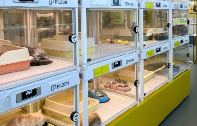 宠物经济洞察：从养得起进阶到养得好