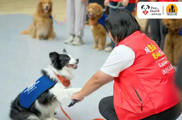 北京协和医院 × PFH治疗犬：共探老年健康关怀新路径 