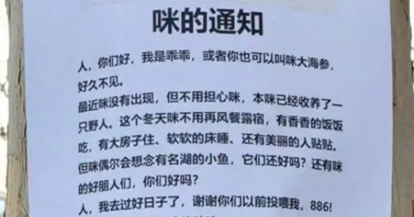 收到来自“咪的通知”：本猫已被收养，再也不用来图书馆打工了！