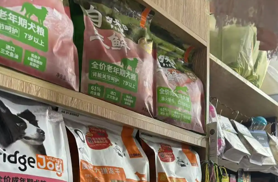 宠物赛道提速扩容，行业急需专业人才