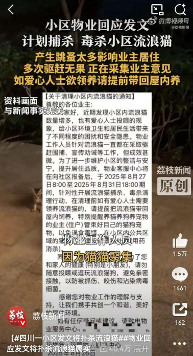 四川一小区发文计划扑杀流浪猫，物业回应：已叫停