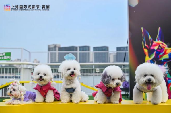 黄浦滨江，汪汪队登场！