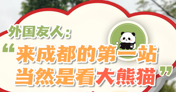外国友人：来成都的第一站，当然是看大熊猫！