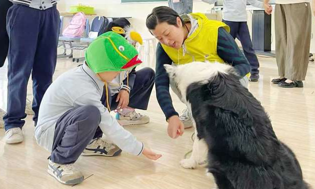 治疗犬打开自闭症儿童的心扉，助力儿童群体康复