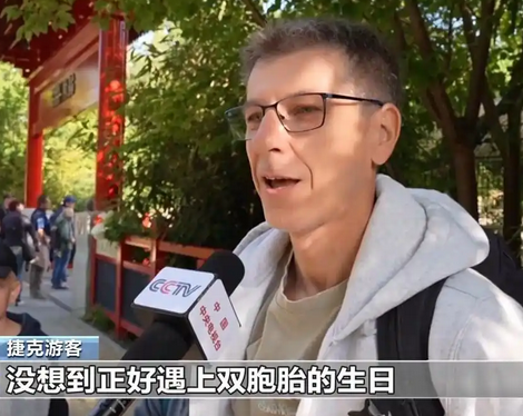 从150克长到21公斤旅德大熊猫“梦好”“梦甜”喜迎周岁生日