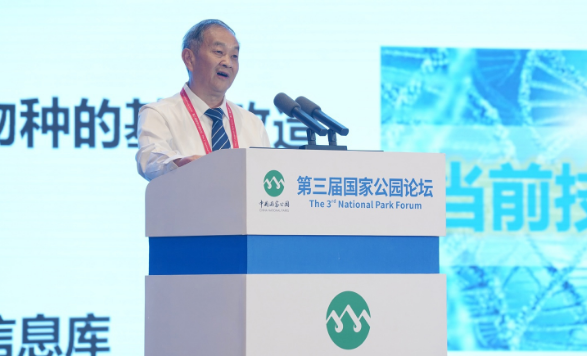 大熊猫生态服务价值远高于保护投入丨守护共建国家公园