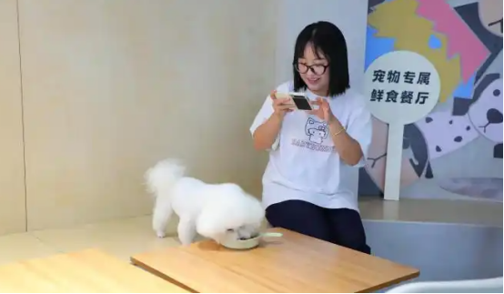 宠物友好型场景花式“上新”携宠出游成新风潮