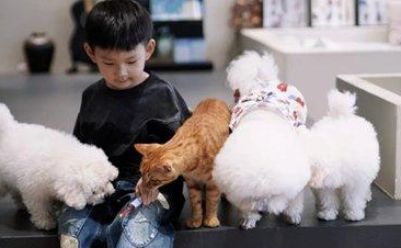 看“小可爱”怎样带火“宠物经济”？