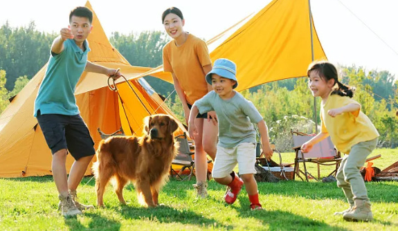 宠物经济“出圈”：情感需求与产业升级的双向奔赴