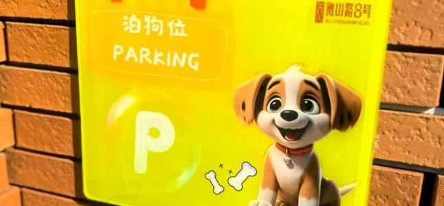 天平街道打造上海首个覆盖全域的“宠物友好街区”，带着毛孩子来衡复逛吃吧