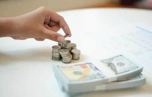 揭秘2025年英国宠物消费热潮：食品和护理需求激增背后的故事