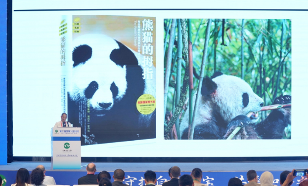 大熊猫生态服务价值远高于保护投入丨守护共建国家公园
