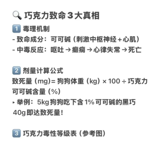 泪崩！宠物狗误食巧克力后离世，这些致命投喂何时能停？ 