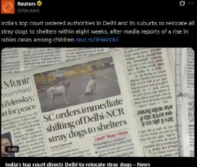 数千万流浪狗肆虐全国，印度法庭下令：必须整治！