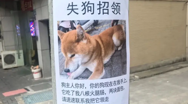网友路边看见一则失狗招领，读了上面的字后…笑喷！ 