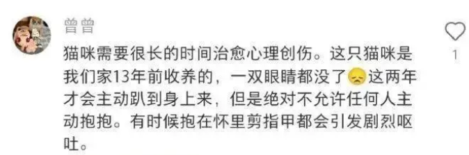 流浪猫被收养后从不踏足卧室一步，乖巧得让人心疼