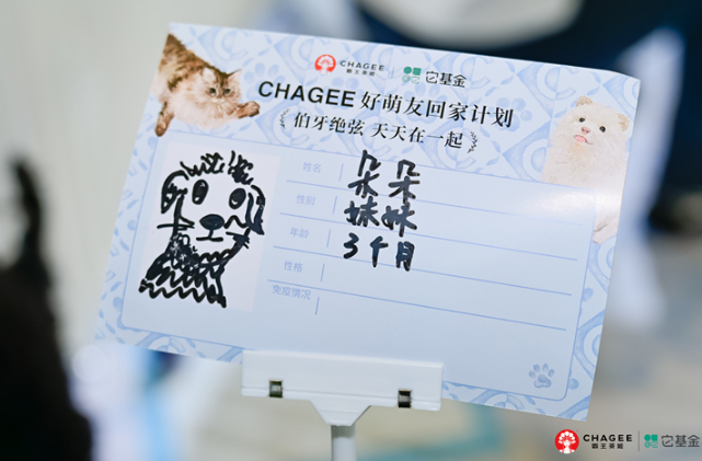 霸王茶姬2025宠物友好季：以茶为媒，传递爱与善意