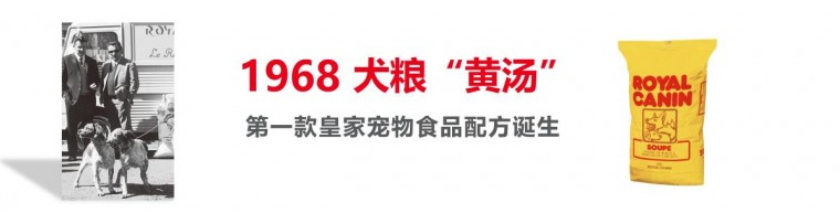 皇家宠物食品中国三十周年：以精准营养守护犬猫健康，构建宠物生态新未来