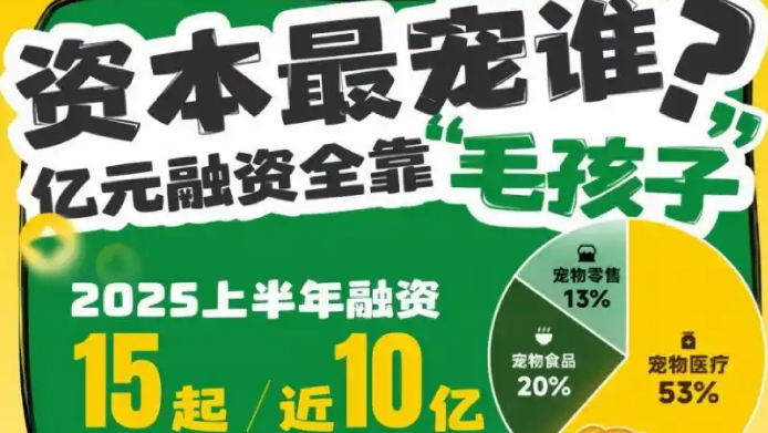 宠物写真上千元，比人贵一倍，谁在为情感“氪金”？