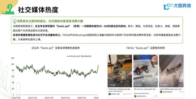 从消费人群到品牌，2025年小宠异宠用品市场浅析