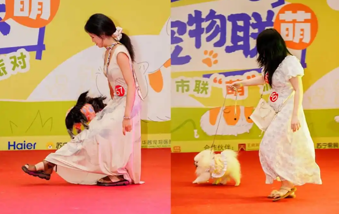 成都萌宠嘉年华：近200组家庭共塑宠界明星