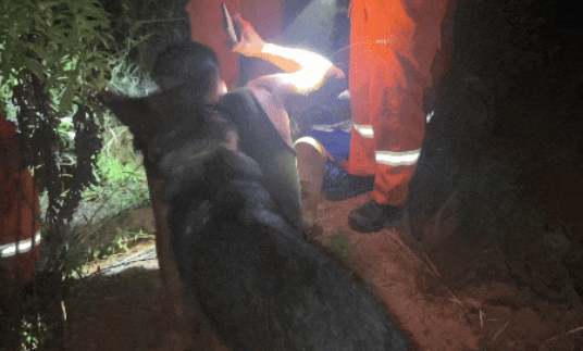 江西南昌：男子深夜下井救狗反被困 消防紧急救援